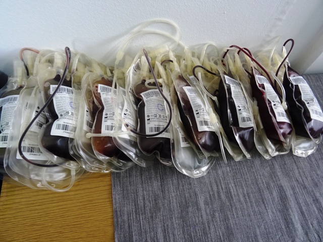 Read more about the article Зимска акција добровољног двања крви у среду, 13. јануара