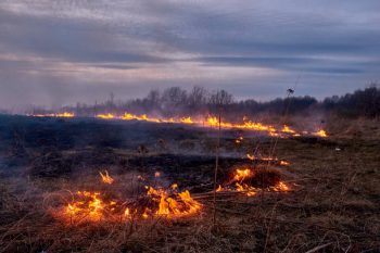 Повећан број пожара – појачана контрола паљења ватре на отвореном