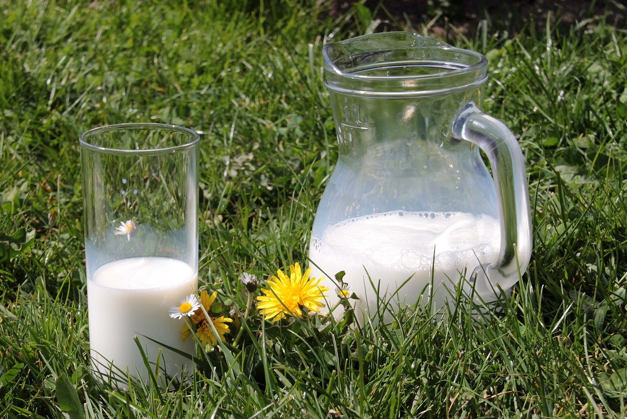 Read more about the article Управа за аграрна плаћања расписала јавни позив за подношење захтева за остваривање права на премију за млеко