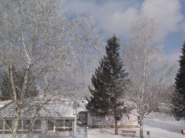 DSCF4525