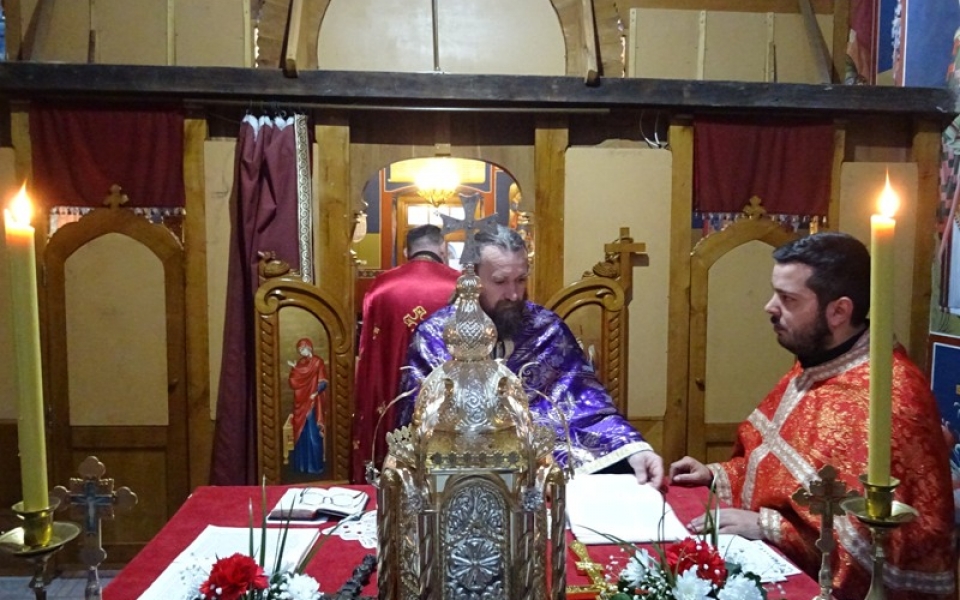 DSC00784