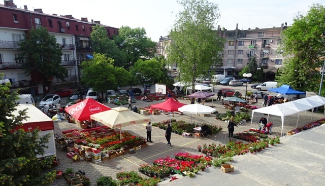 Read more about the article Празник цвећа на главном градском тргу