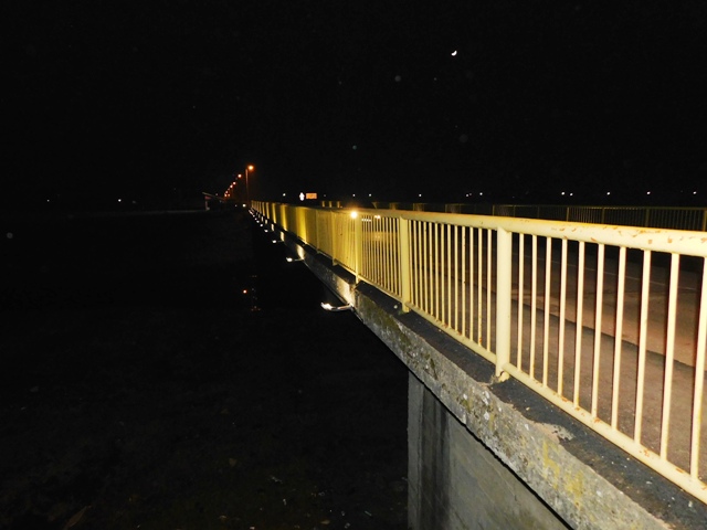 Read more about the article У нову годину са новим освтљењем моста на Пеку