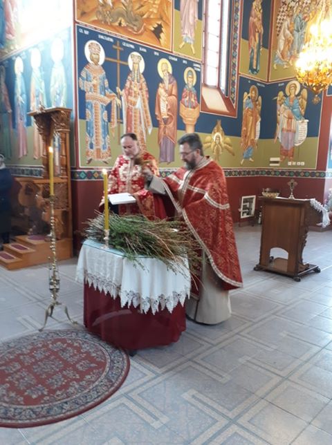 Read more about the article Освештана врбица – ко жели да је преузме, може доћи у храм до почетка полицијског часа