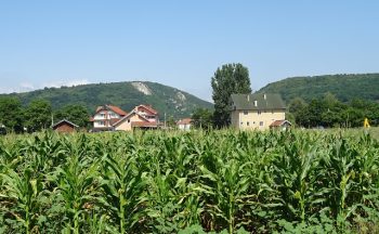 Општина Кучево расписала 7 Јавних конкурса за подстицаје пољопривредницима