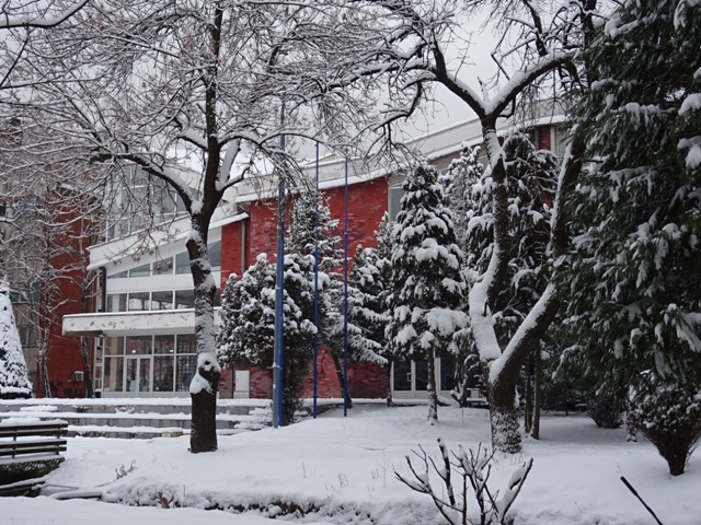 Read more about the article Временска прогноза – ноћас минус, у понедељак снег