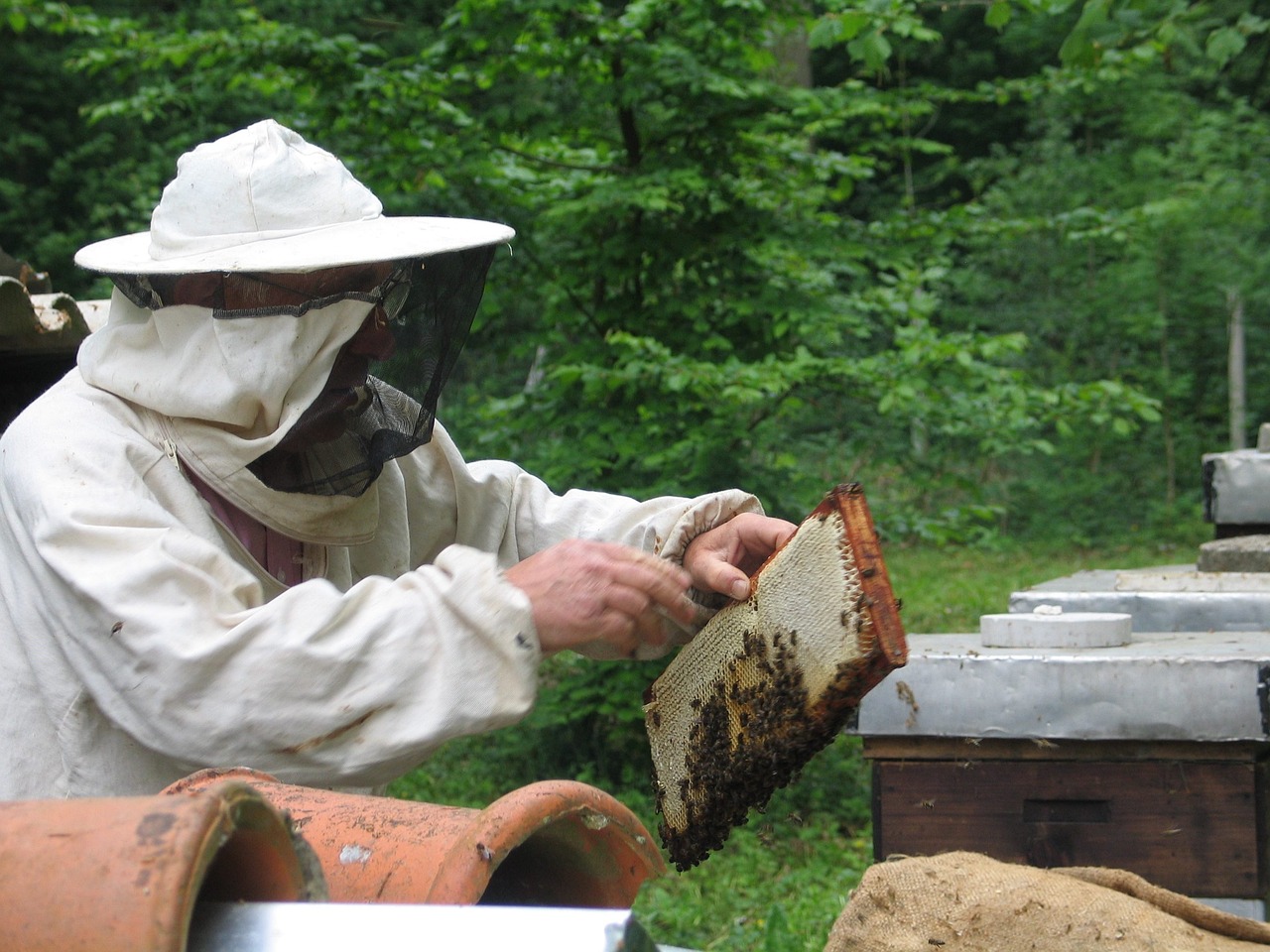 Read more about the article Од 1. маја мањи трошкови за пчеларе за близу 12.000 динара