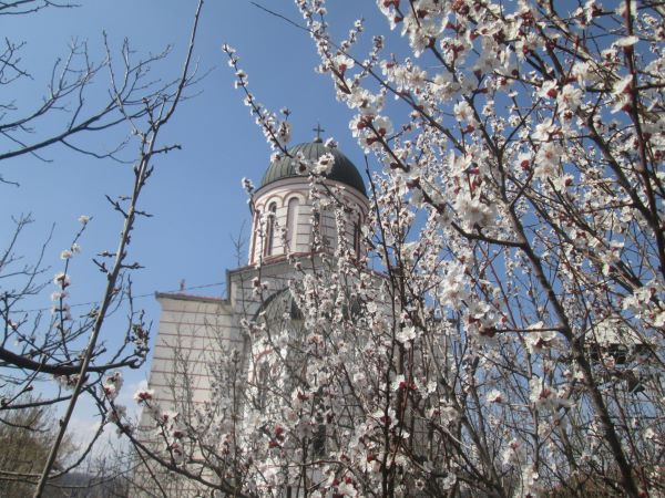 Read more about the article Распоред богослужења у црквама у Кучеву, Нересници, Турији, Мишљеновцу и Раброву у току Страсне недеље и за Васкрс