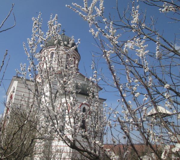 Read more about the article Догодило се 07. априла