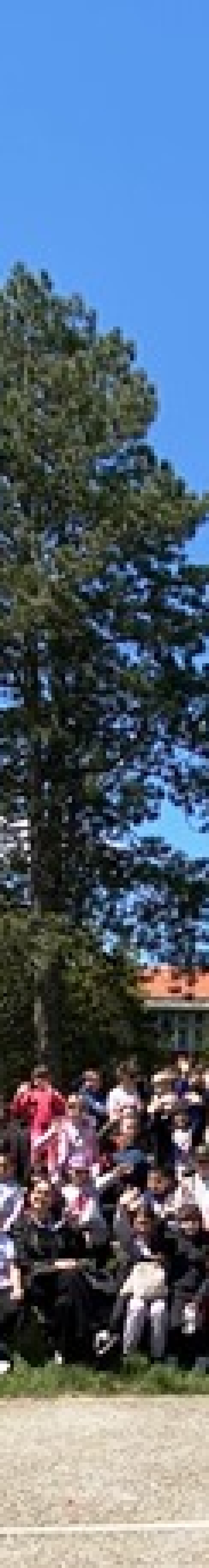 896612ea-4a08-47f8-b800-e29378b8f267